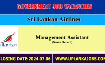 Management Assistant - Sri Lankan Airlines Vacancies 2024